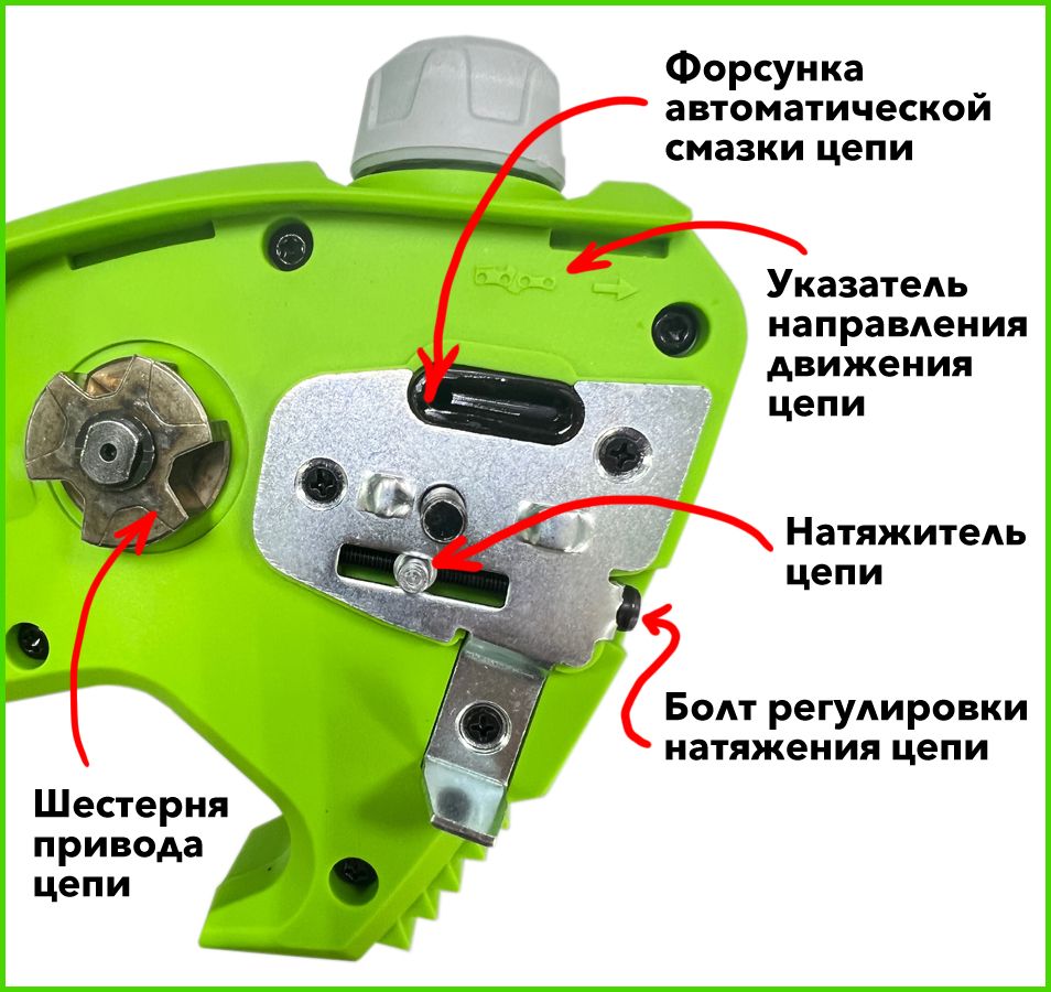 010.jpg