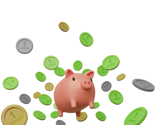 Бонусная программа